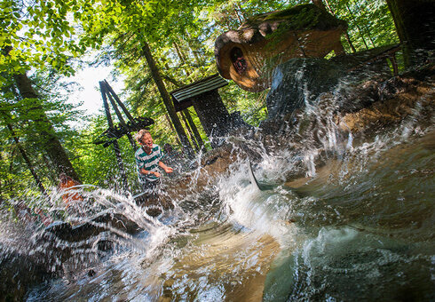 Spritzender Delfin im Freizeitpark Ruhpolding