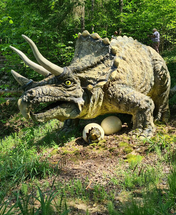 Triceratops mit ihrem Nachwuchs 