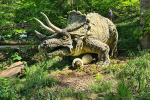 Triceratops mit ihrem Nachwuchs 