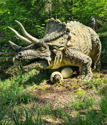 Triceratops mit ihrem Nachwuchs 