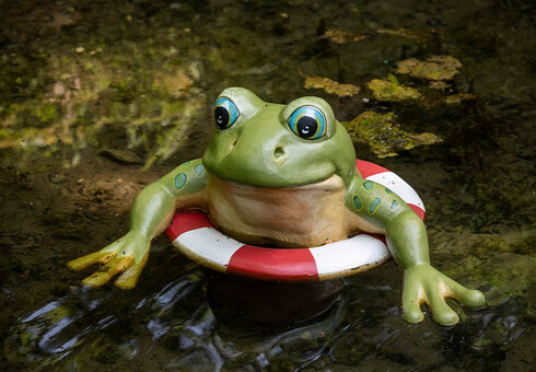 Froschschule bei der Bockerlbahn Teich